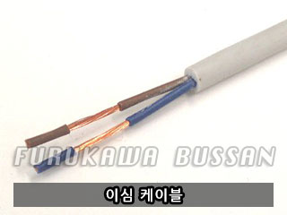 이심 케이블